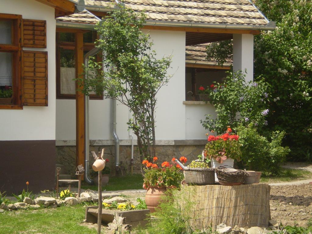 Tulipanos Vendeghaz Apartment Obanya Exterior photo